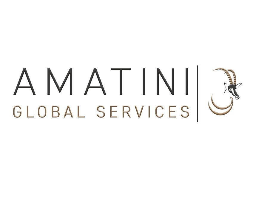 AMATINI_Logo-768x190 AMATINI_Logo-768x190